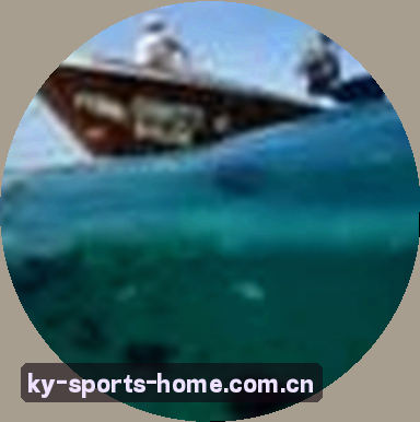马丽